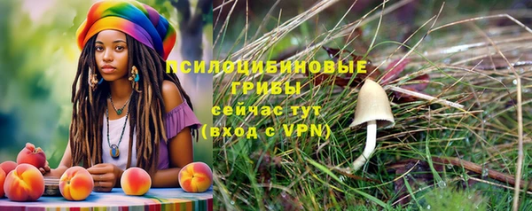 соль ск Алексин