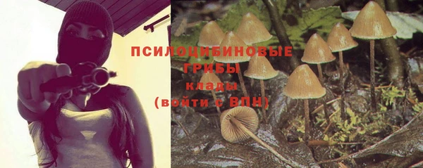 первитин Абинск
