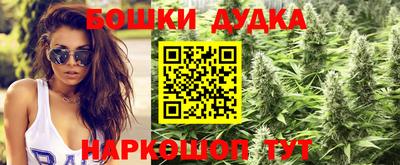 СК Владикавказ