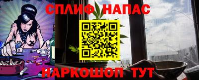 СК Владикавказ