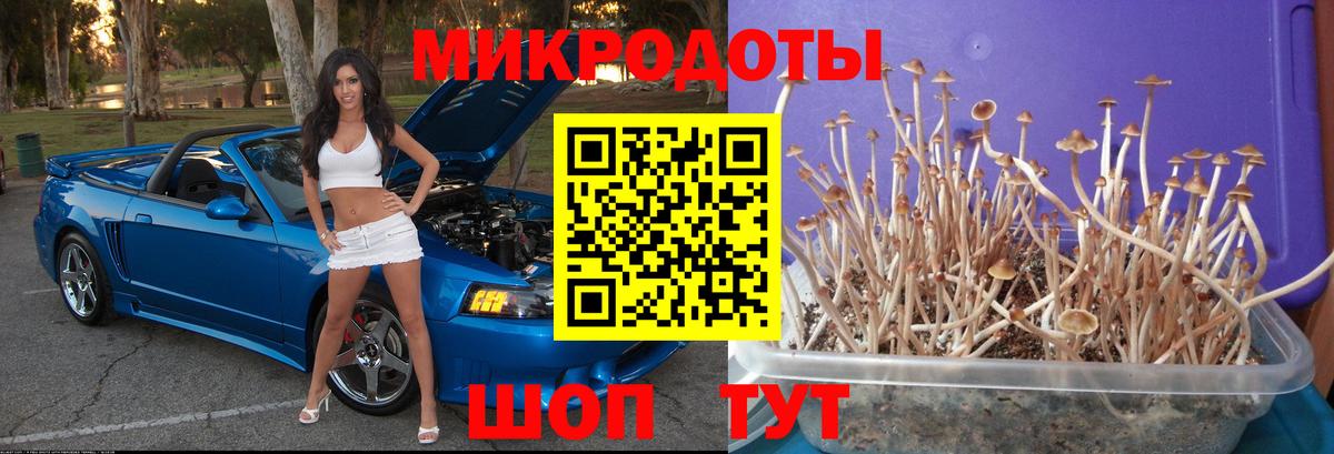Псилоцибиновые грибы ЛСД  Вход с VPN  Челябинск 